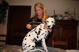 DALMATIEN - BROSSAGE 048